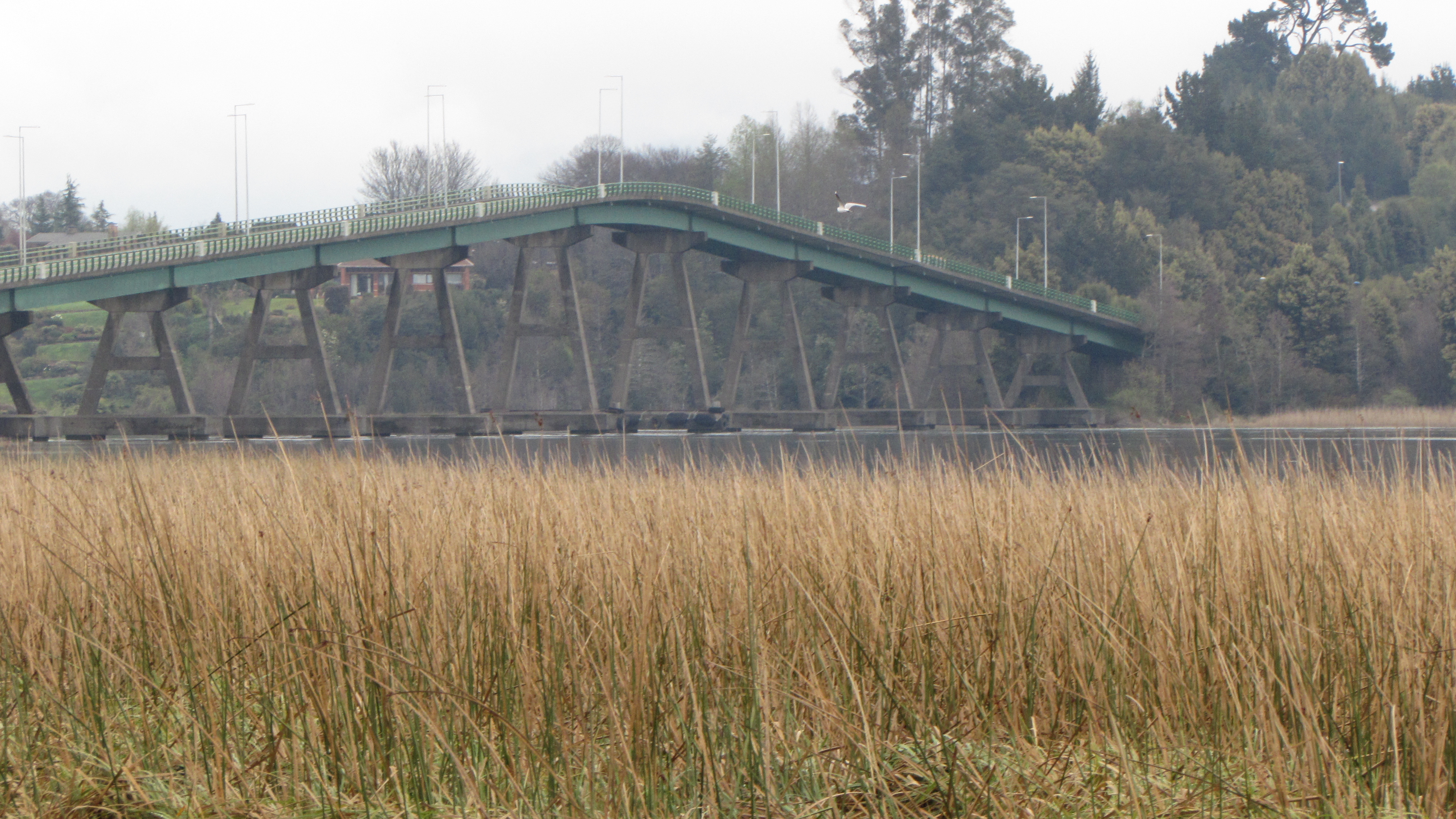 Cámara aprobó proyecto de ley para proteger zonas urbanas de interés natural