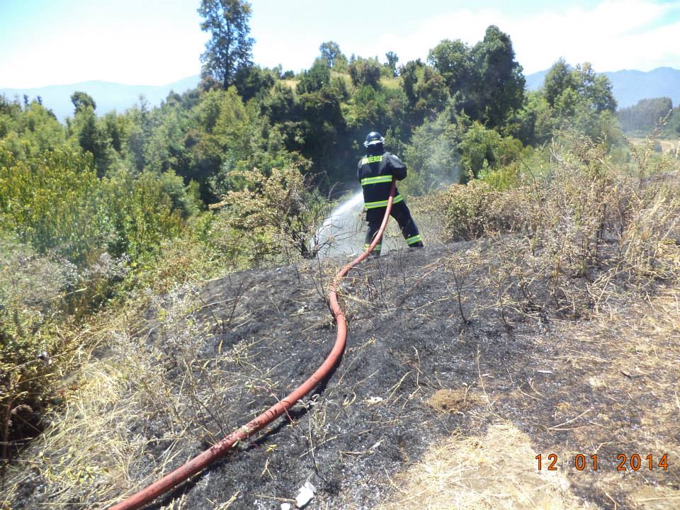Bomberos controló incendio de pastizales en las inmediaciones de la Villa El Portal