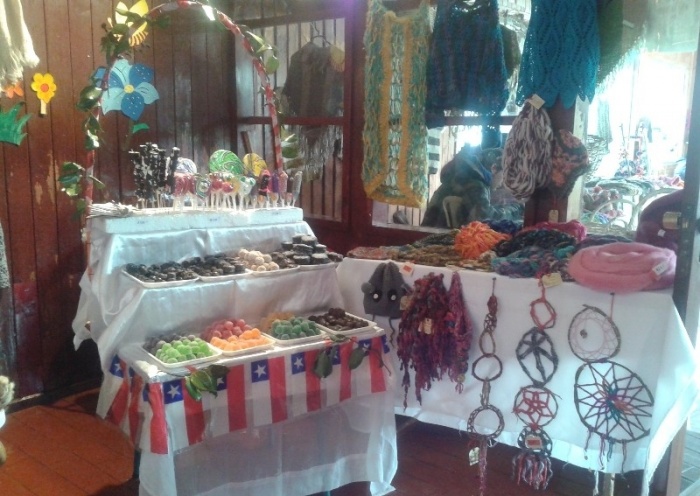 Raíces de mi Pueblo expone gran variedad de productos en jardín "Los Pumitas" y ofrece talleres gratuitos