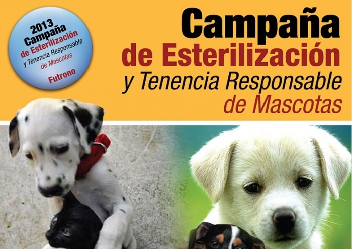 Primeros 100 inscritos podrán esterilizar sus mascotas a bajo precio