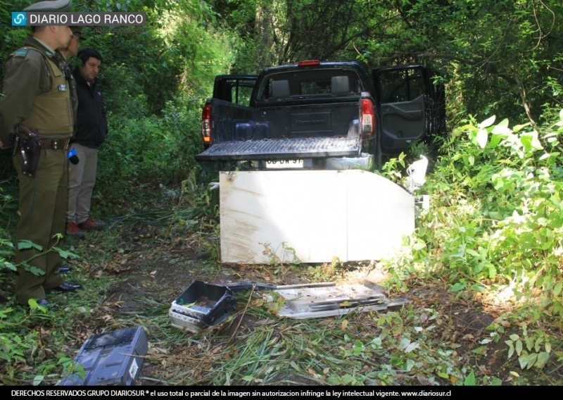 Cajero automático robado en Lago Ranco apareció en Reserva Natural Bosque Quillín