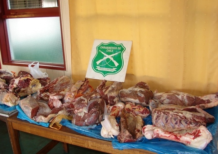 Carabineros decomisó 105,2 kilos de carne en el Hotel Paillaco