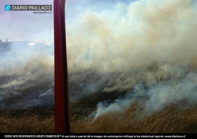 Siete incendios de pastizales y una falsa alarma han movilizado a Bomberos de Paillaco durante este jueves