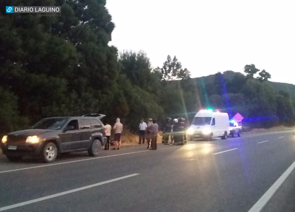 Sólo un susto: Carro de vehículo se soltó y volcó a un costado de la ruta 5 Sur