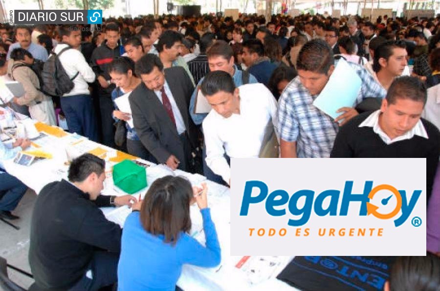 Entra en operaciones portal para ofrecer y buscar trabajos urgentes: pegahoy.cl