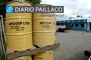 Indap hizo entrega de créditos a la Cooperativa Apícola Campesina Apicoop