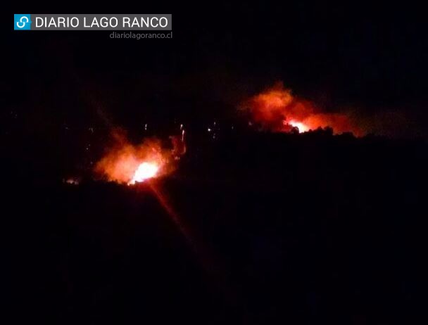Lago Ranco: Incendio forestal en Ensenada arde sin control
