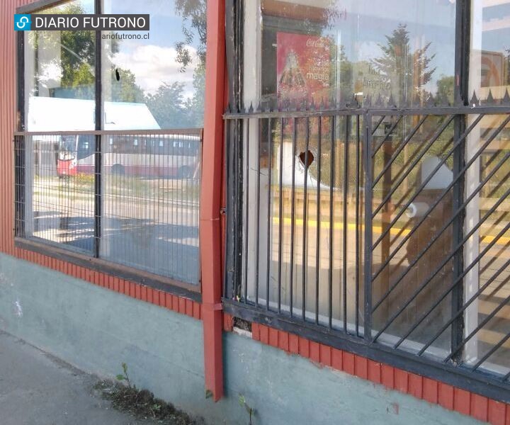 Apedrearon ventanales de céntrico supermercado de Futrono y en oficina municipal