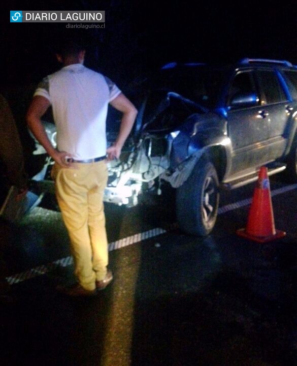 Automovilista chocó con vacuno en la ruta que conecta Valdivia con Los Lagos