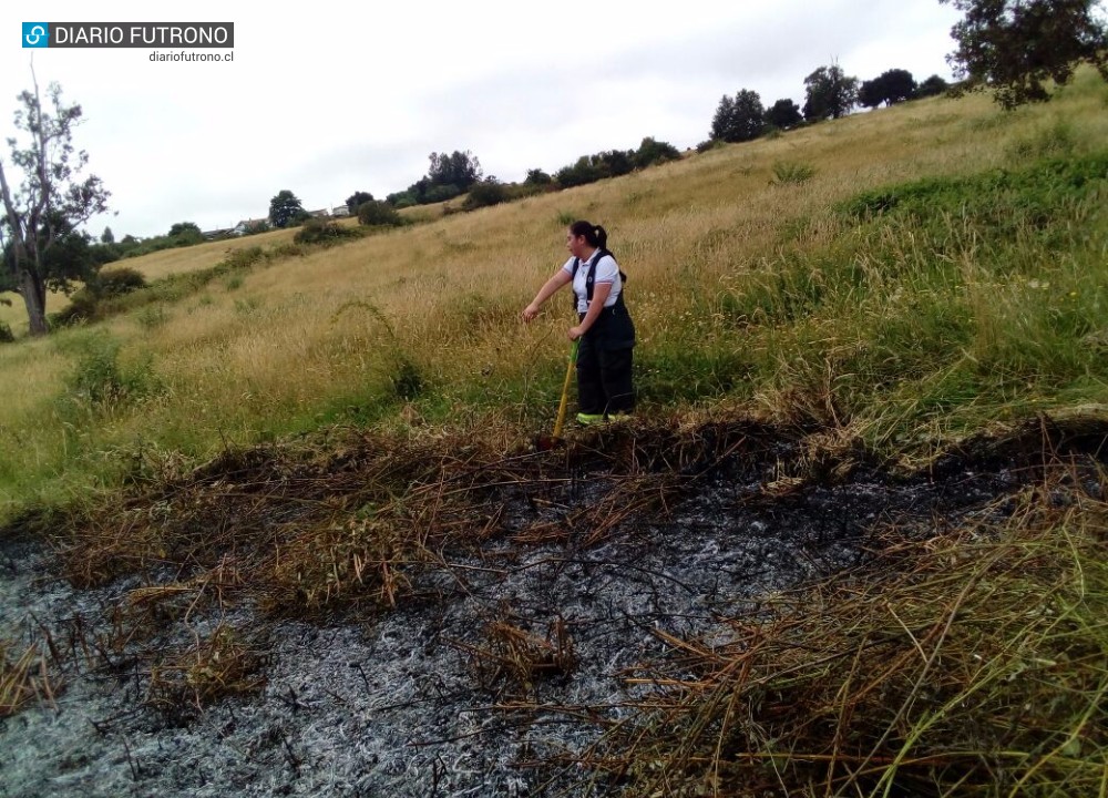  Bomberos controló incendio de pastizales en Futrono