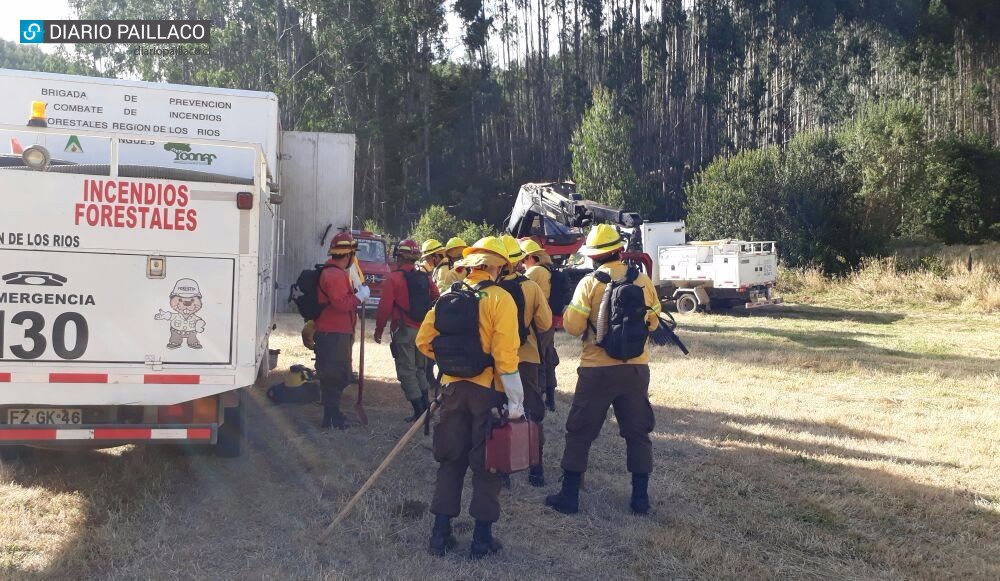 Incendio forestal en Pichirropulli movilizó a distintas compañías y brigadistas