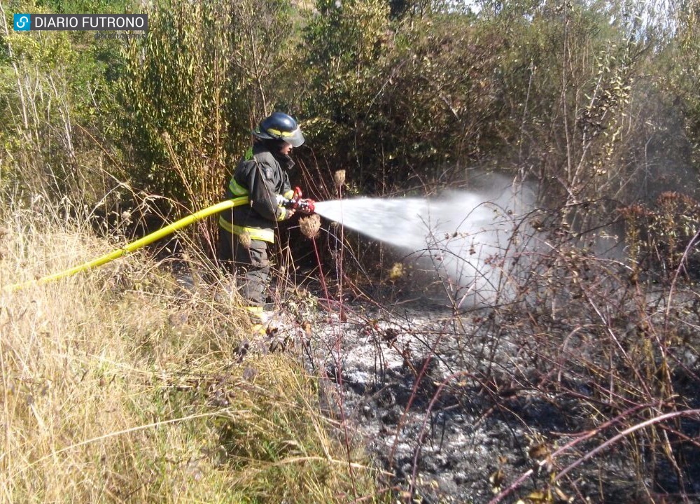 “Futrono no está libre del peligro de incendios forestales”