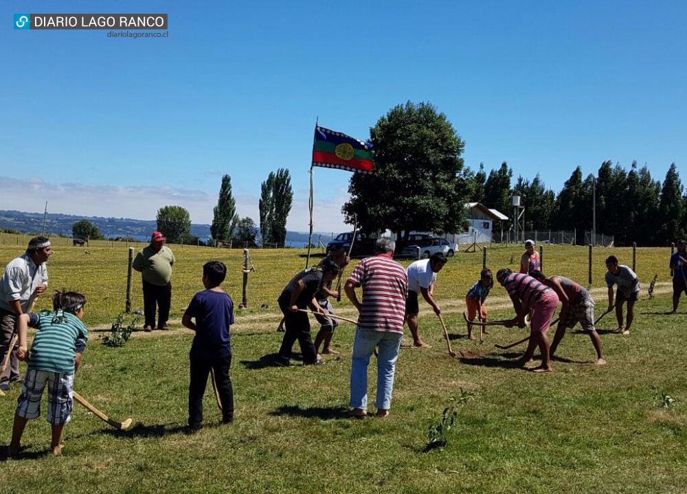 Lago Ranco: Comunidad Nahuelpán celebró por tercer año encuentro intercultural