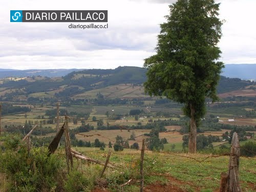 Falleció vecino que fue atacado con un caballo en sector rural de Paillaco