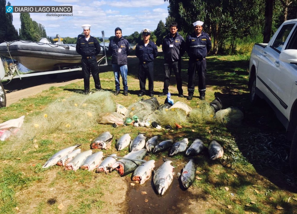 Sernapesca y Armada detectan pesca ilegal con redes en lecho del río Bueno