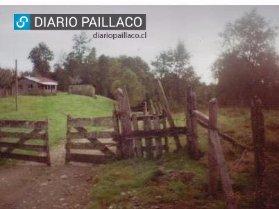Vecino ebrio le lanzó estiércol a censistas en Paillaco