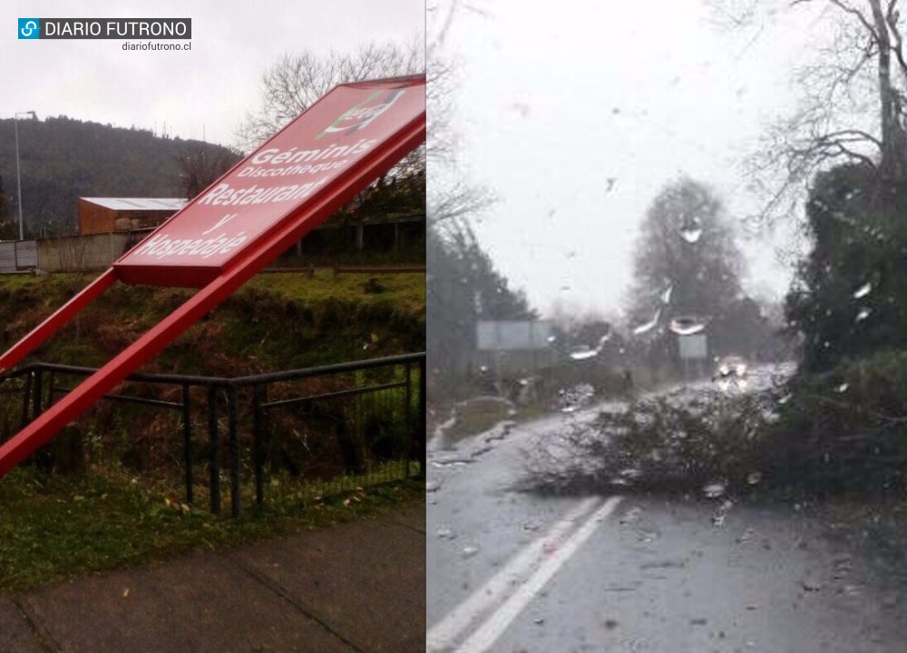 Distintos sectores de Lago Ranco y Futrono sin energía eléctrica 