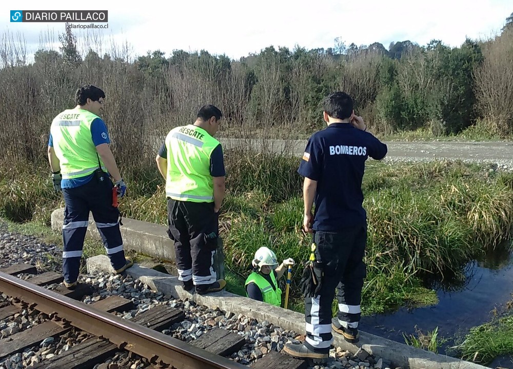 Bomberos apoyó búsqueda de hombre que lleva 8 días desaparecido en Paillaco