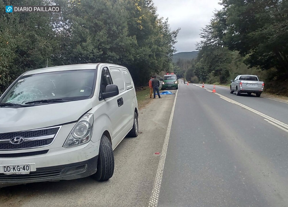 Hombre falleció tras lanzarse contra un furgón en marcha en la ruta que conecta Paillaco con Valdivia