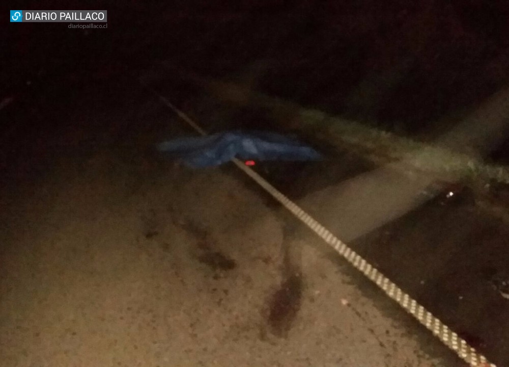 Hombre muere en fatal accidente en sector Puente Azul en Paillaco