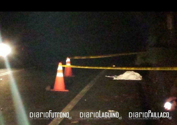 Se entregó conductor de fatal atropello en sector Puerto Las Rosas