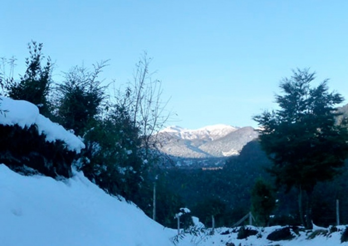 Futrono y Lago Ranco, comunas con alerta por posible nevazones