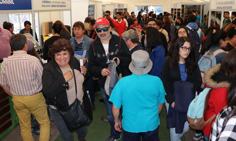 ​​​Más de 5 mil personas visitaron Expo Descubre Los Ríos en Concepción