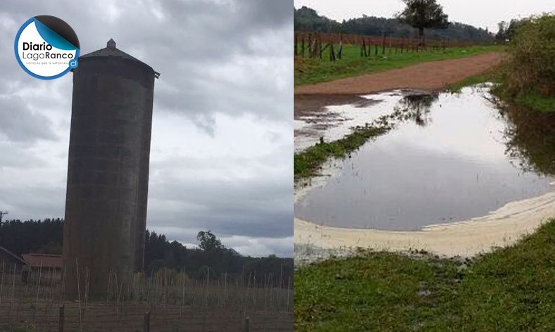 Lago Ranco: Vecinos de Quillaico y Quillín piden ayuda por mal estado de camino