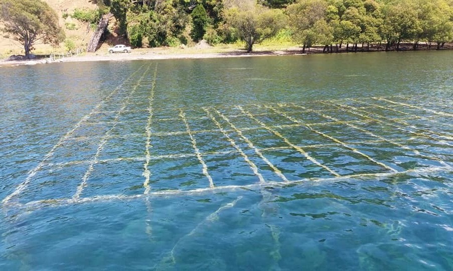 ¡Increíble!: Descubren cercos ilegales y construcción bajo el agua en Pisada del Diablo