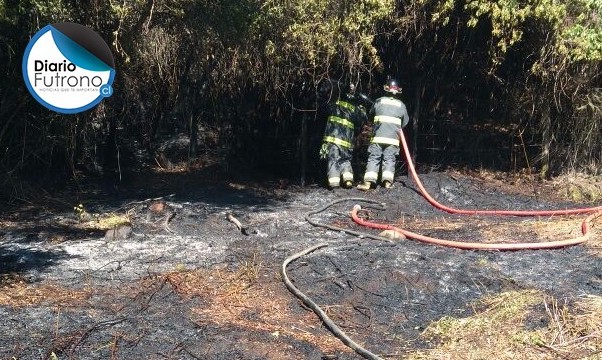 Incendio de pastizales en La Trafa movilizó a bomberos de Futrono y Llifén