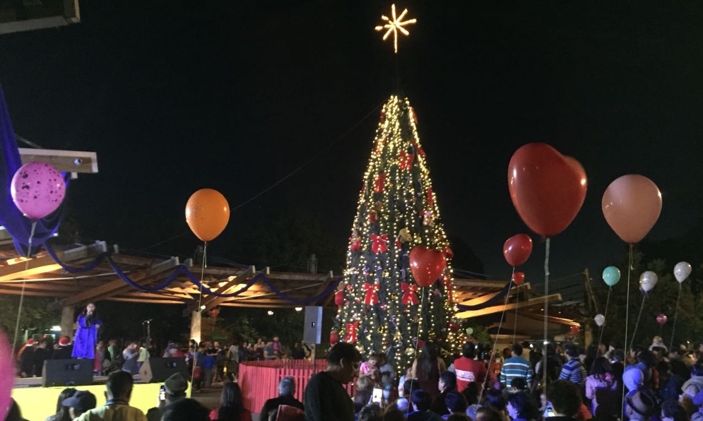 Paillaco celebró encendido de árbol de Navidad