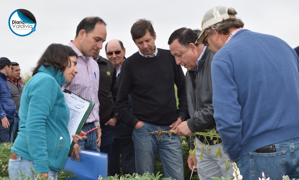 Productores de Los Ríos conocieron avances tecnológicos del cultivo de avena
