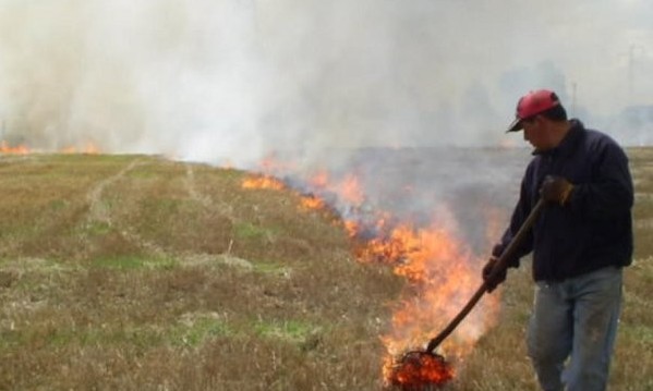 CONAF finalizó período de quemas agrícolas hasta marzo de 2018 en la región de Los Ríos