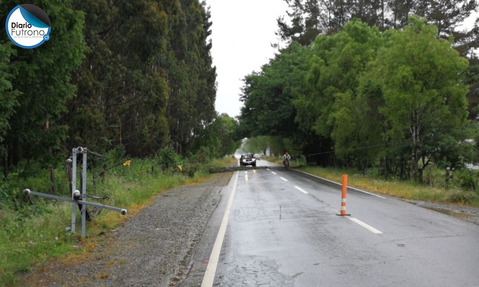 Ruta Nontuelá-Reumén suspendida por caída de árbol