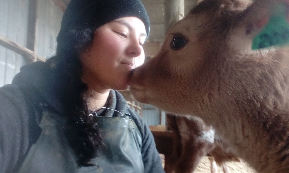 Último llamado a programa de intercambio en Nueva Zelanda para jóvenes agrícolas