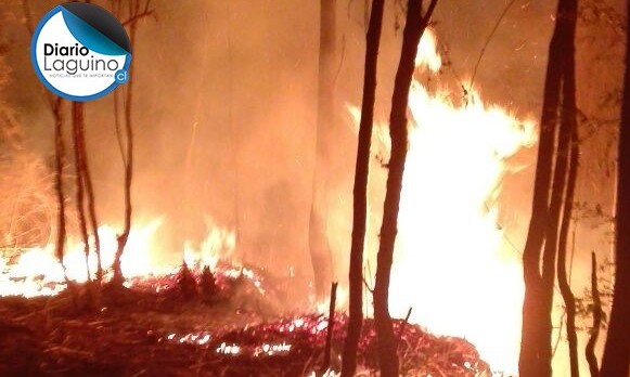 Incendio de pastizales en cerro San Ambrosio a 30 metros de la Población Las Lajas 