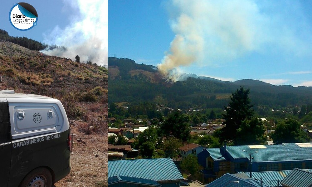 Brigadistas de Conaf combaten incendio en cerro cercano a la ciudad de Los Lagos