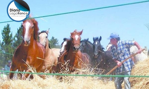 Calcurrupe inicia a las 15 horas su segunda Trilla a Yegua Suelta