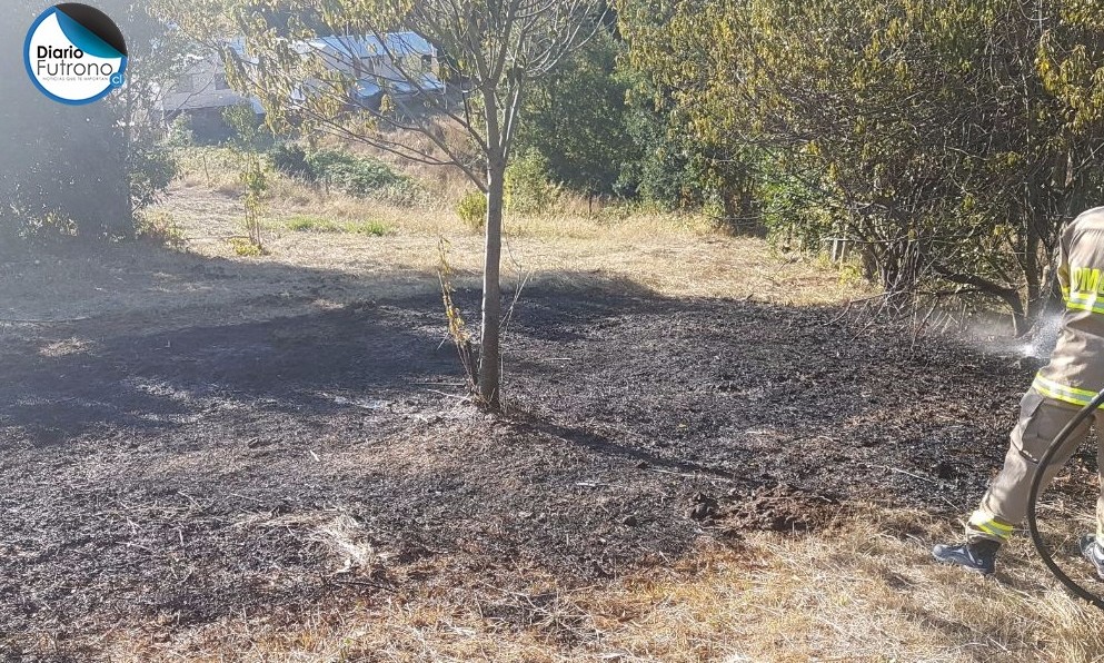 Incendio de pastizales movilizó a Bomberos de Futrono