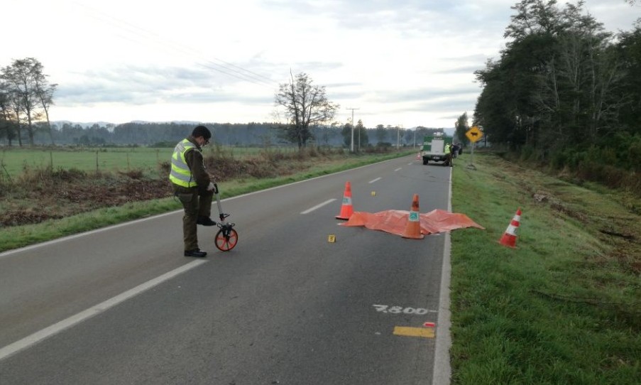 Hombre fue encontrado muerto en la ruta que une Futrono con Los Lagos