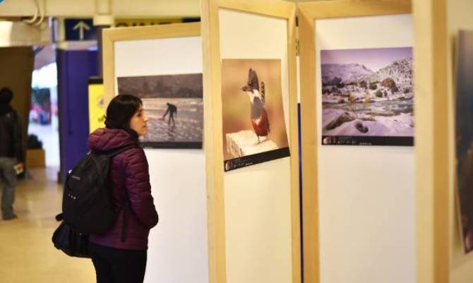Exposición fotográfica se presenta en el Terminal de Buses de Valdivia