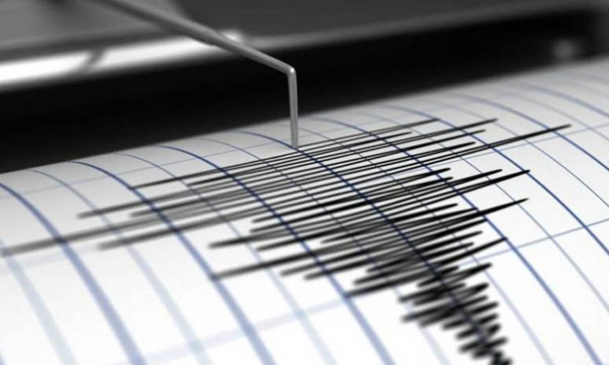 Registran sismo de menor intensidad en Valdivia 