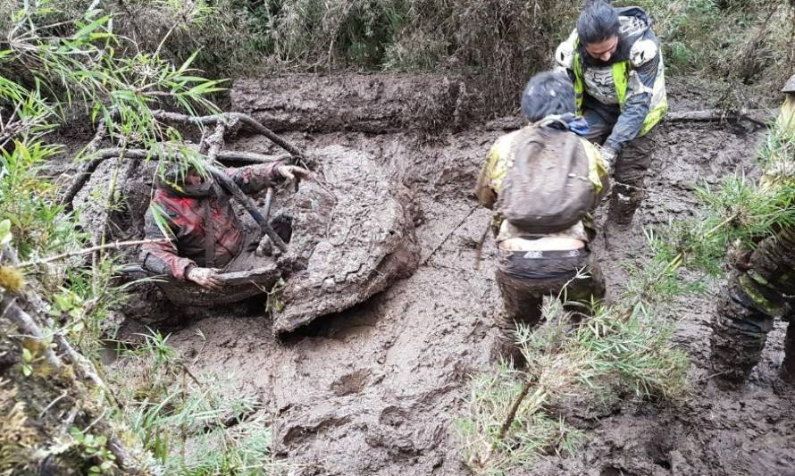 Municipalidad de Lago Ranco aclara que no autorizó raid extremo realizado este fin de semana en la comuna