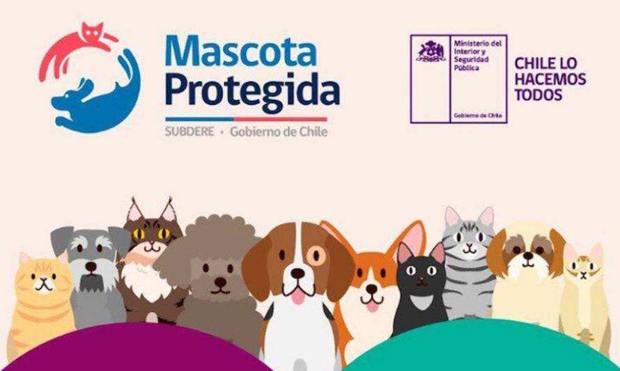 Invitan a postular a fondos concursables para tenencia responsable de mascotas y animales de compañía