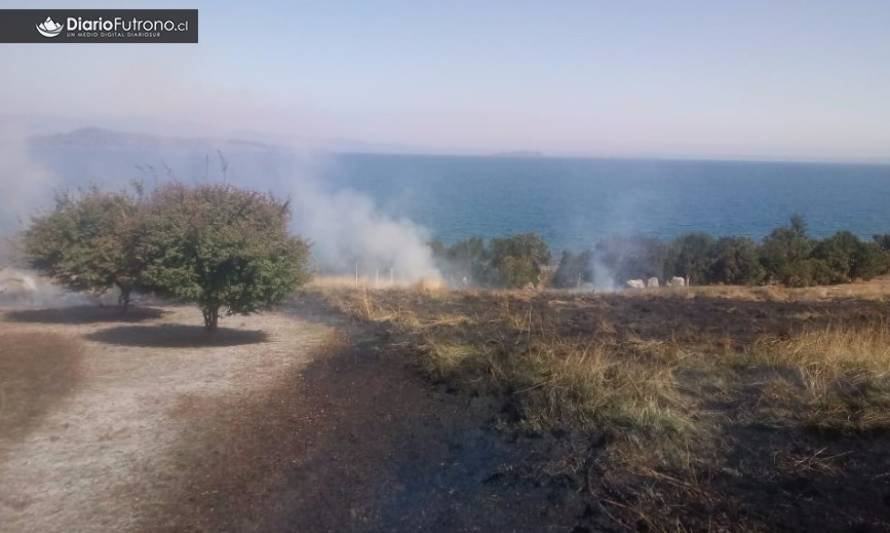 Bomberos de Futrono controló incendio de pastizales 