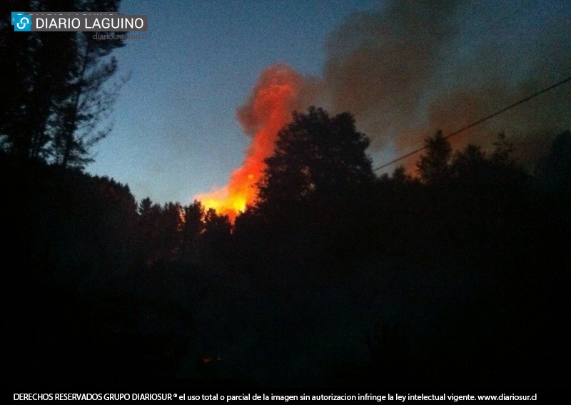 Gigantesco incendio afecta plantación forestal en Los Lagos