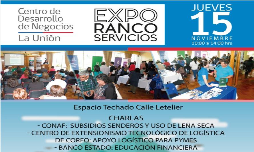 Todo listo para una nueva versión de Expo Ranco Servicios