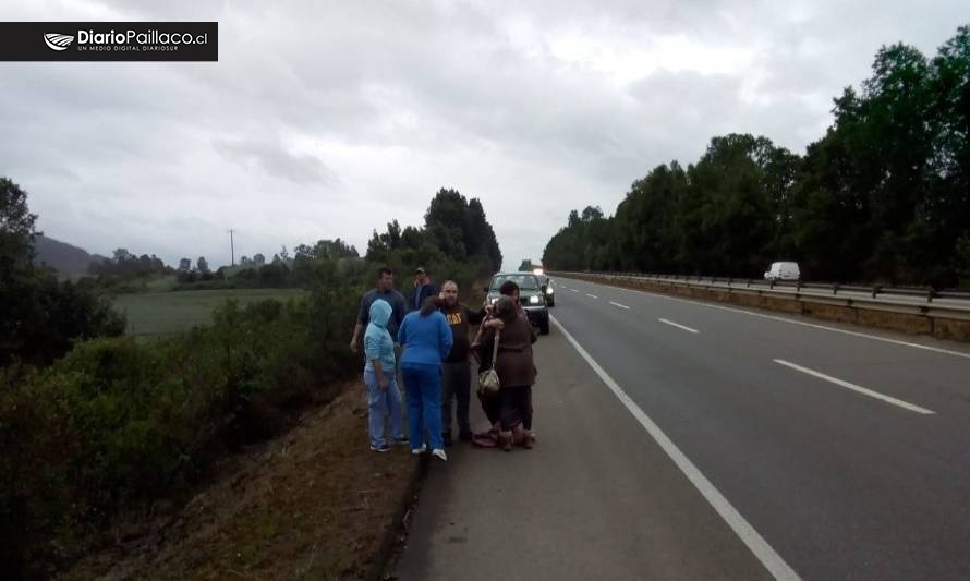 Automóvil cayó a un barranco en sector ubicado entre Reumén y Paillaco
