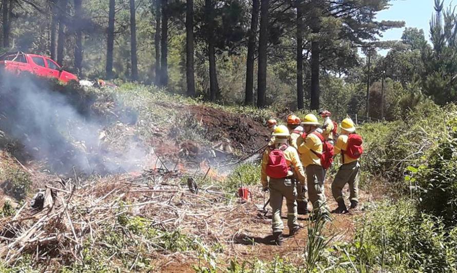 Llaman a prevenir incendios forestales en Los Ríos