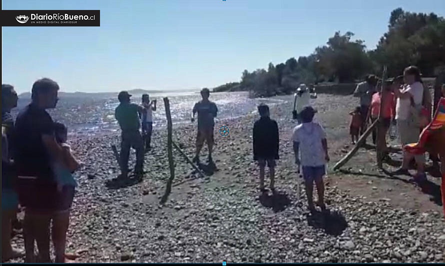 Comunidad y veraneantes destruyen cerco que dividía playa de Calcurrupe, Lago Ranco